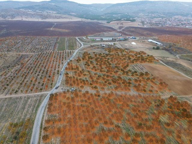 Köylü kurdu, sınırları kaldırdılar: 'Bir ilk' 800 işçi çalışıyor