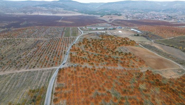 Köylü kurdu, sınırları kaldırdılar: 'Bir ilk' 800 işçi çalışıyor