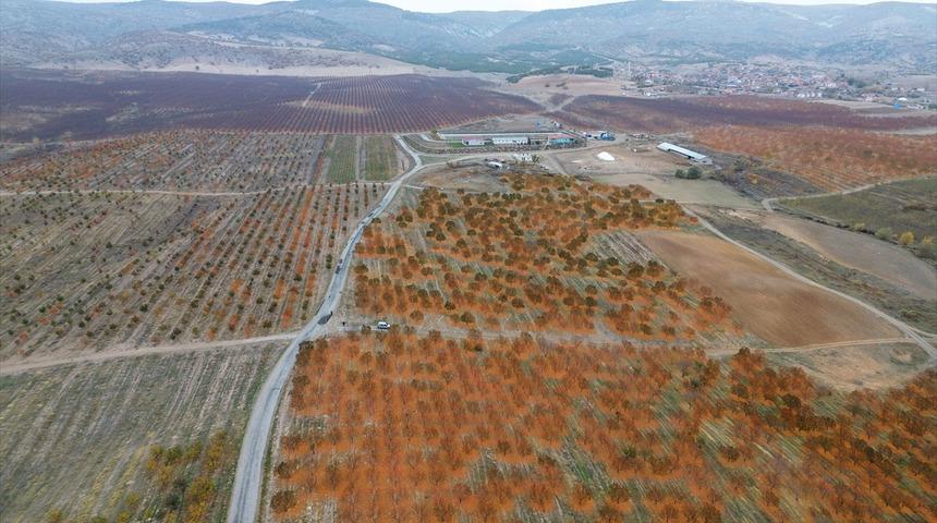 Köylüler kurdu, sınırları kaldırdılar: Türkiye'nin en büyüklerinden! 800 işçi çalışıyor