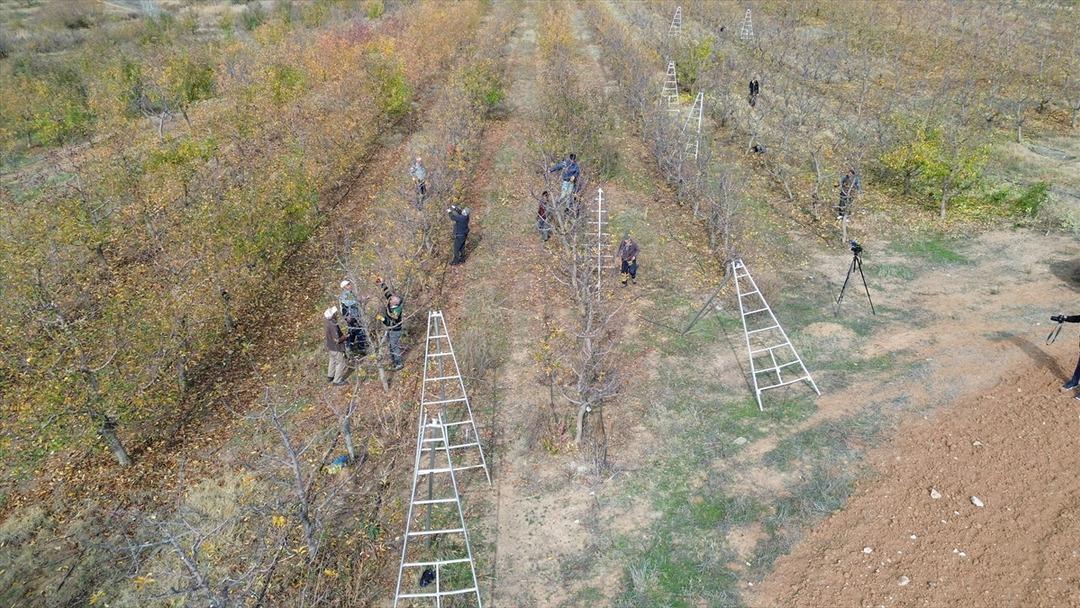 Köylüler kurdu, sınırları kaldırdılar: Türkiye nin en büyüklerinden! 800 işçi çalışıyor 1
