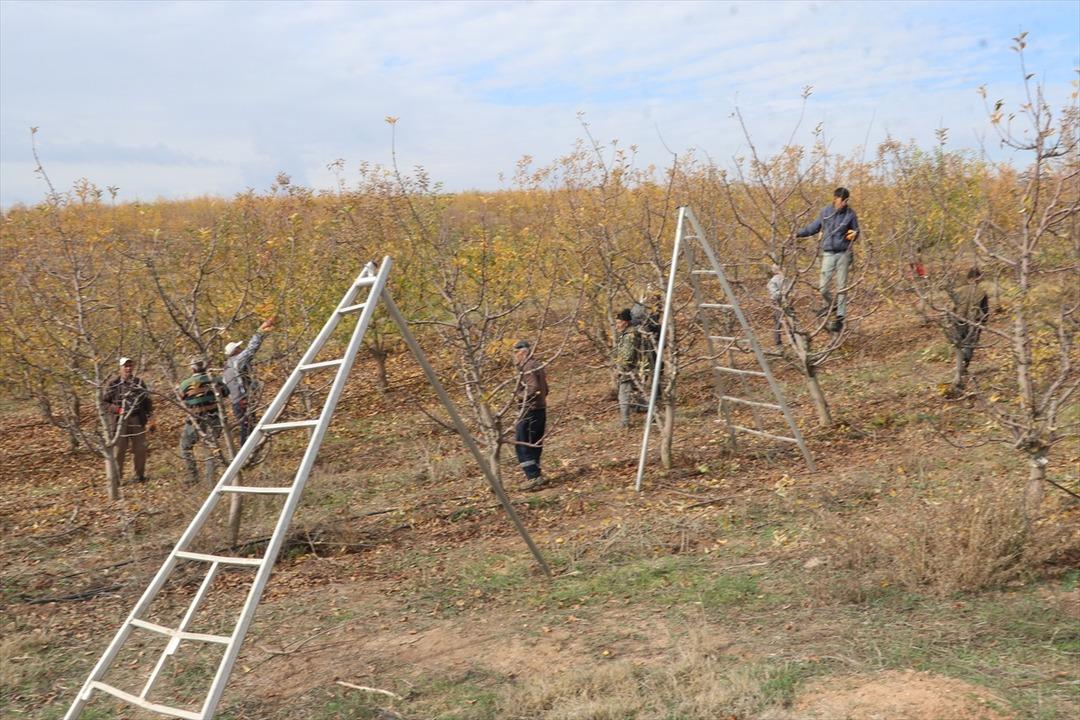Köylüler kurdu, sınırları kaldırdılar: Türkiye nin en büyüklerinden! 800 işçi çalışıyor 3