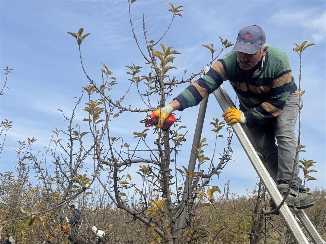Köylüler kurdu, sınırları kaldırdılar: Türkiye nin en büyüklerinden! 800 işçi çalışıyor 4