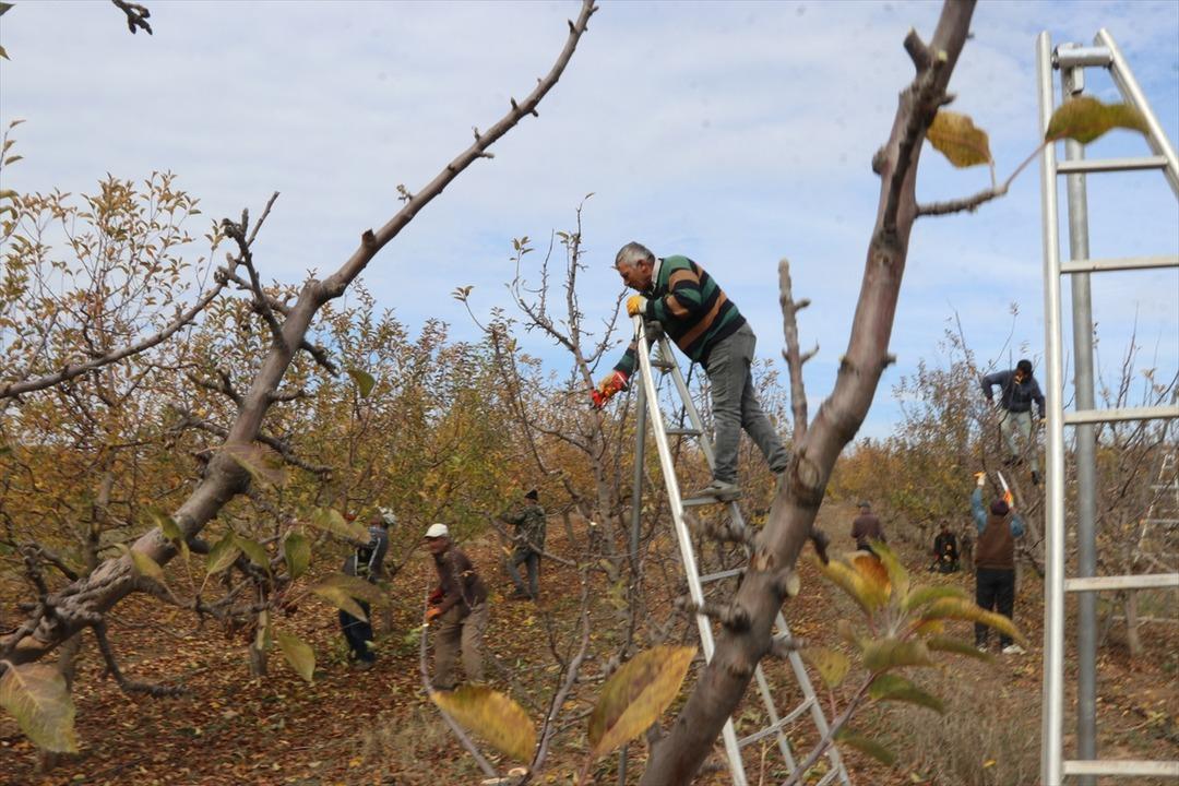 Köylüler kurdu, sınırları kaldırdılar: Türkiye nin en büyüklerinden! 800 işçi çalışıyor 6