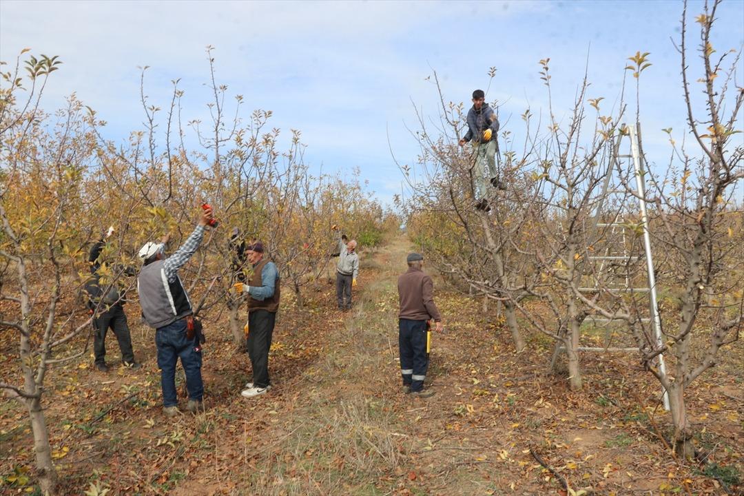 Köylüler kurdu, sınırları kaldırdılar: Türkiye nin en büyüklerinden! 800 işçi çalışıyor 7