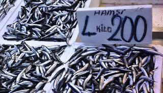 Trabzon'da hamsinin kilogramı 50 liradan satılıyor