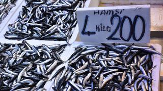 Trabzon'da hamsinin kilogramı 50 liradan satılıyor