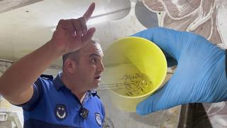 Fırın denetiminde mide bulandıran görüntüler: Zabıta ekipleri şaşkına döndü!