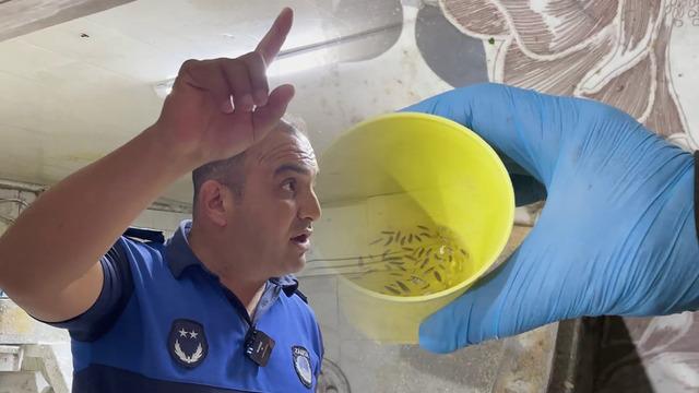 Fırın denetiminde mide bulandıran görüntüler: Zabıta ekipleri şaşkına döndü!