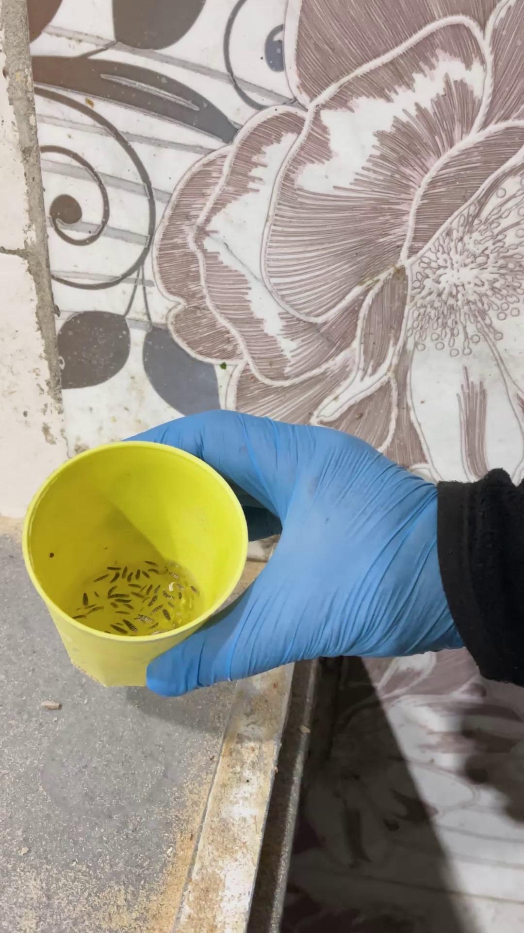 Fırın denetiminde mide bulandıran g&ouml;r&uuml;nt&uuml;ler: Zabıta ekipleri şaşkına d&ouml;nd&uuml;! 6