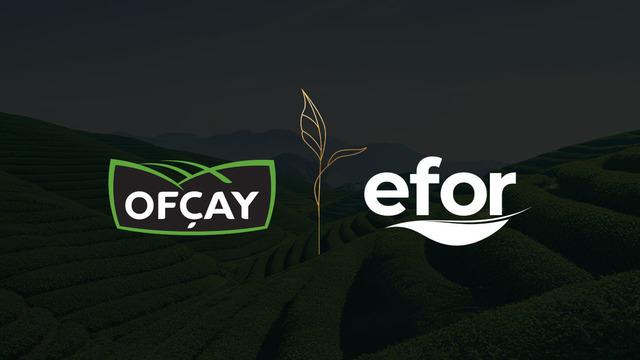 Efor Yatırım (EFOR) bug&uuml;n bedelsiz yapıyor! 1000 lotu olan yatırımcının 6 bin lotu olacak