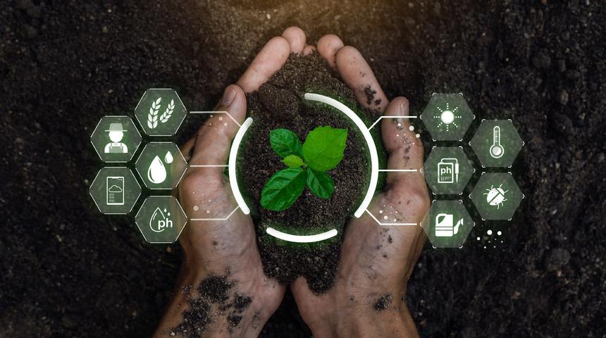 Tarımda yapay zekâ nedir, nasıl verim artırır?