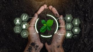 Tarımda yapay zekâ nedir, nasıl verim artırır?