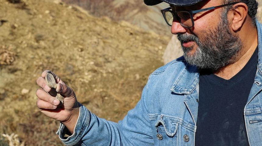 50 milyon yıllık oldukları değerlendiriliyor: Denizin bulunmadığı Bing&ouml;l'de bulundu