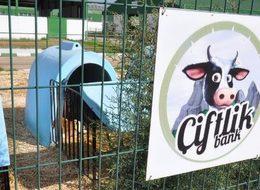 6 soruda Çiftlik Bank: On binlerce kişi nasıl dolandırıldı?