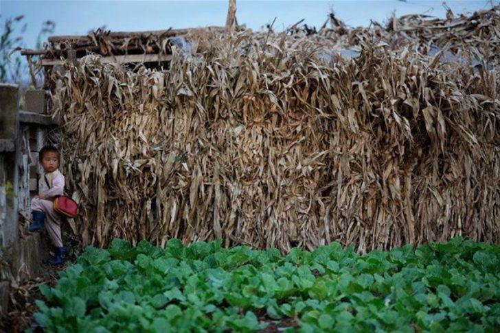 Kuzey Kore'nin korkunç yüzü  G2