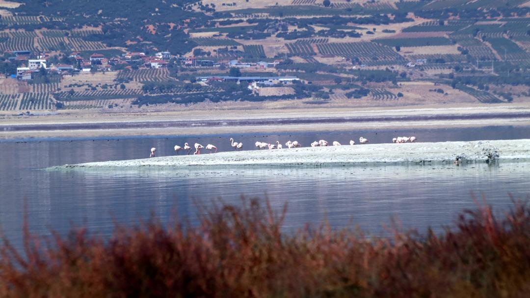 55 yılda 21,3 metre çekildi: Kuruma tehlikesiyle karşı karşıya! 4