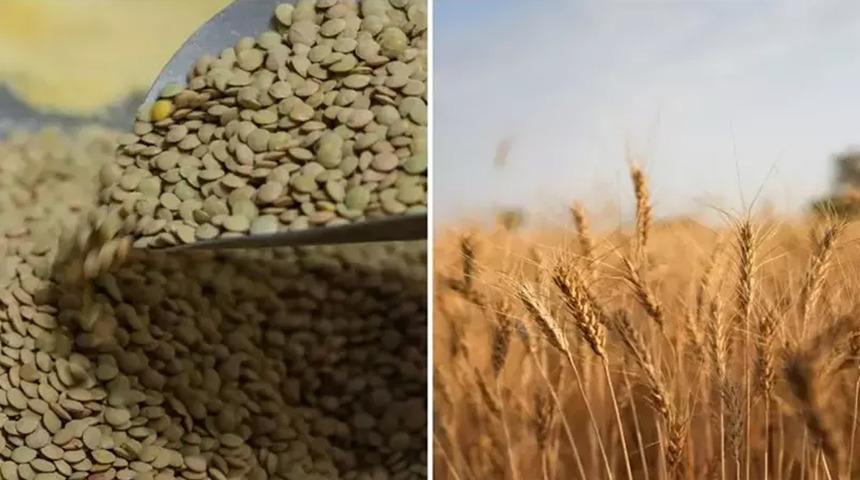 Yeşil mercimek ve yulaf ithalatında gümrük vergileri düşürüldü