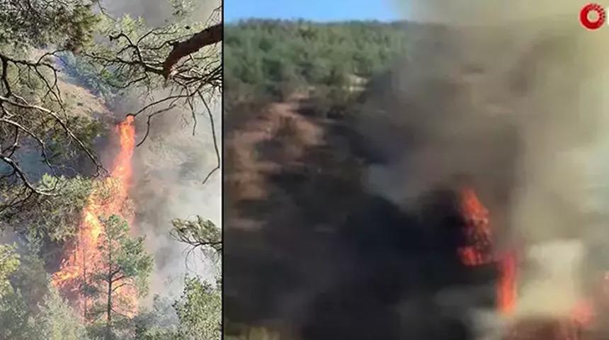 Hatay'da orman yangını! M&uuml;dahale başladı