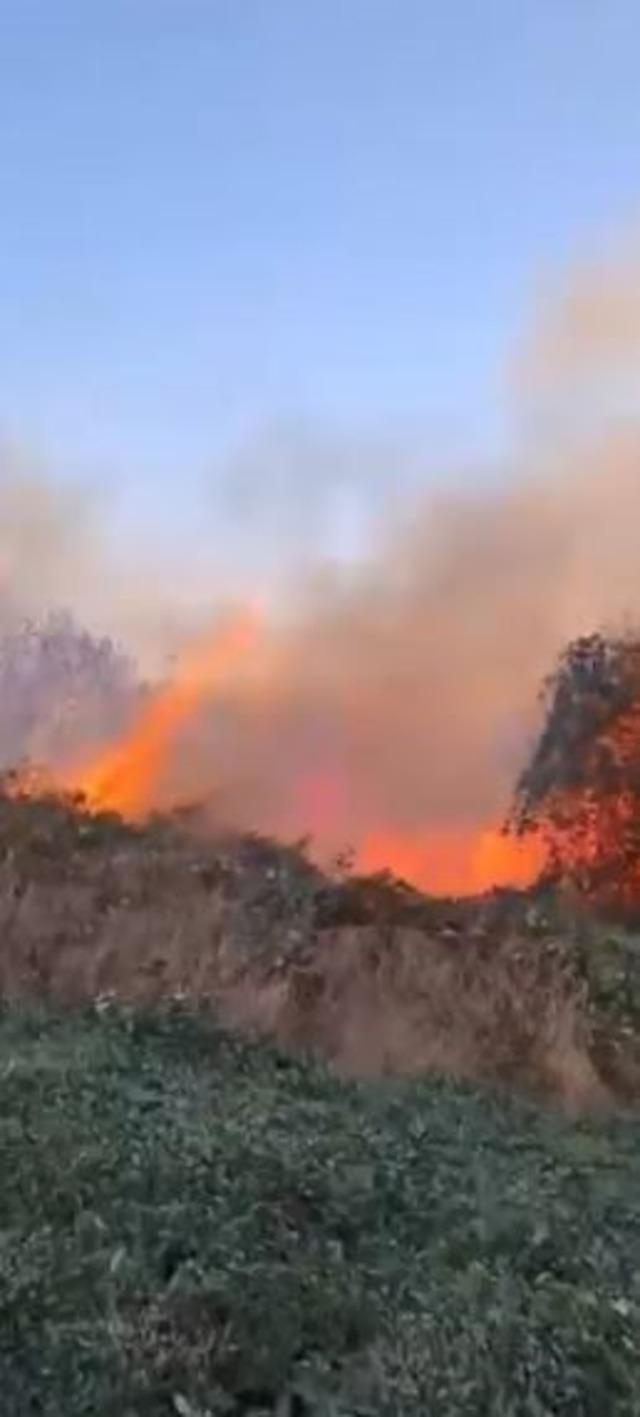 Artvin Hopa’da ziraat alanında çıkan yangın ormana sıçradı 2
