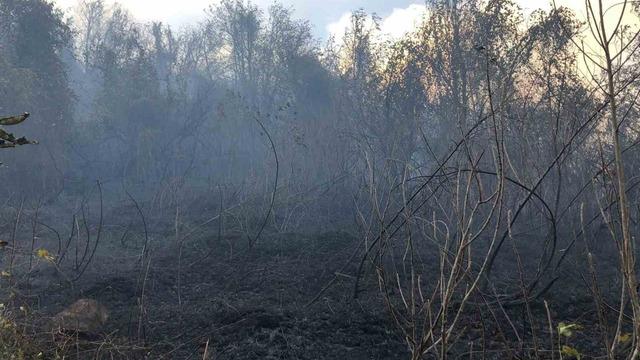 Artvin Hopa’da ziraat alanında çıkan yangın ormana sıçradı