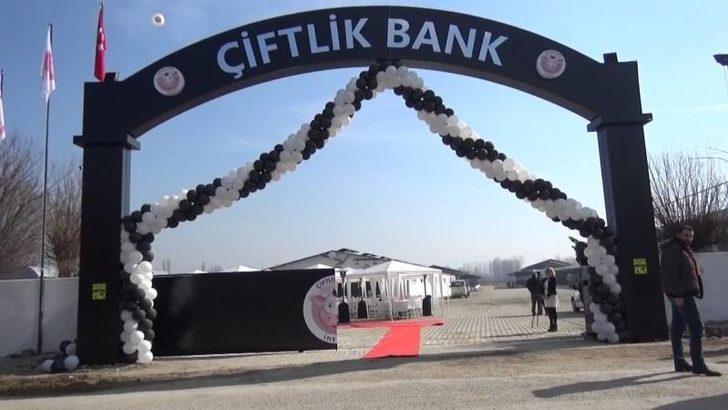 Çiftlik bank nedir? Dolandırıcılık sistemi nasıl işliyor? G2