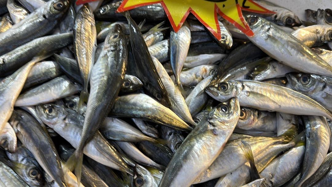  Gürcistan a kaçtı  Tezgahlarda yoğunluk başladı, rağbet çok 5