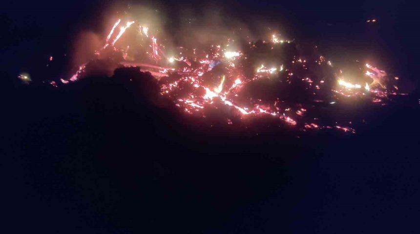 Bilecik’te çürümüş ağaç ve kökler yakılırken alevler kontrolden çıktı