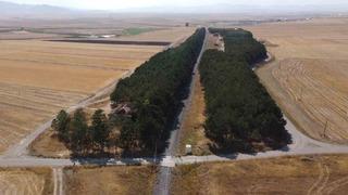 Kars’ta bozkırın ortasındaki vaha havadan görüntülendi