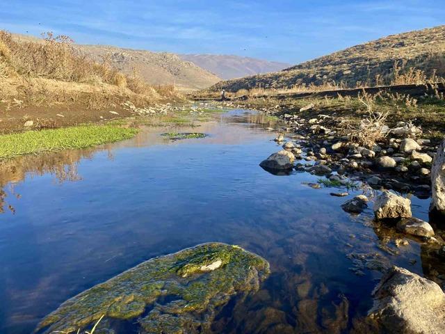 Sonbaharda sararan yapraklar görsel şölen oluşturdu 2