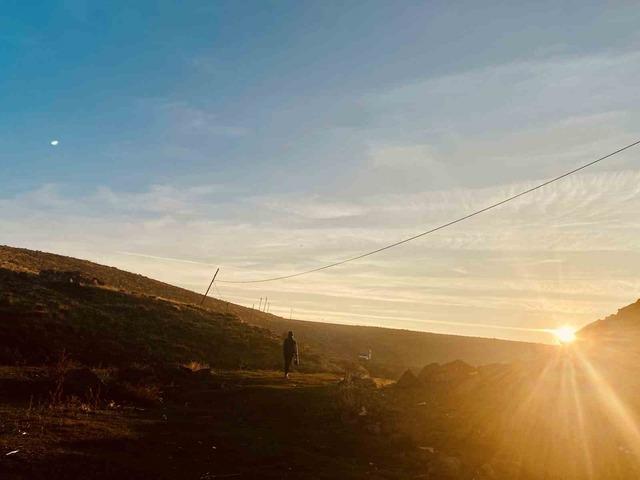 Sonbaharda sararan yapraklar görsel şölen oluşturdu 1