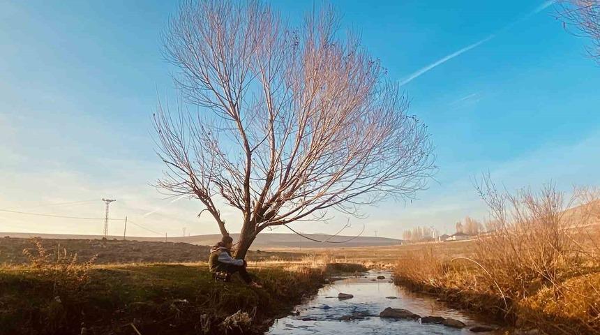 Sonbaharda sararan yapraklar görsel şölen oluşturdu