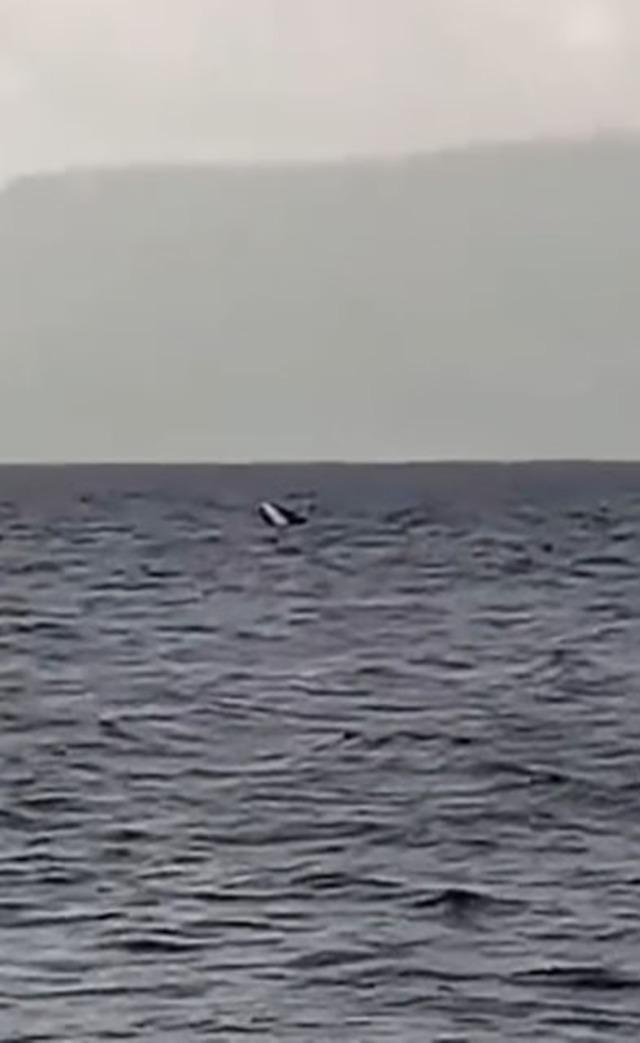 Kocaeli’de kayık alabora oldu: 1 kişi kurtarıldı, 1 kişi aranıyor 5