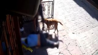 Yer: Beyoğlu! Sara nöbeti sonrası bayılan adamın telefonunu çaldılar