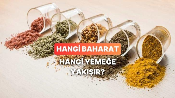 Patates, tavuk, makarna… Hangi baharat hangi yemeğe yakışır?