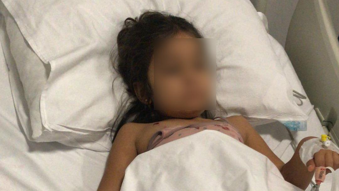 Son dakika | İki kardeşi hastanelik eden pitbull da sahibi de parmaklıklar arkasında 3