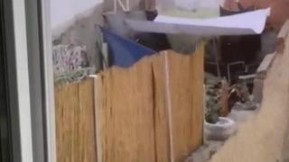 Eskişehir'de tepki çeken olay! Köpeğe eziyet etti