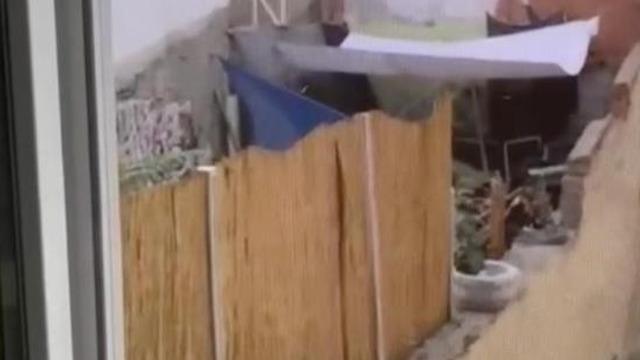 Eskişehir'de tepki çeken olay! Köpeğe eziyet etti