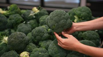 Kendisi küçük faydası büyük: Kanserden koruyor!