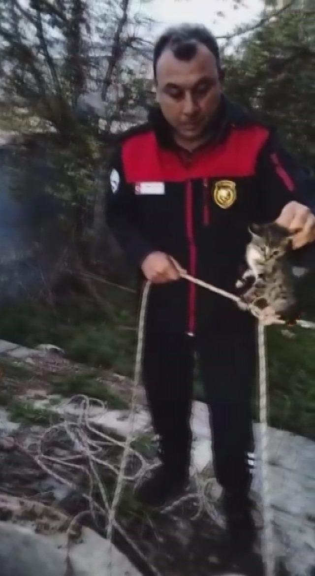 Su kuyusunda mahsur kalan yavru kedi, kurtarılarak annesine teslim edildi 1