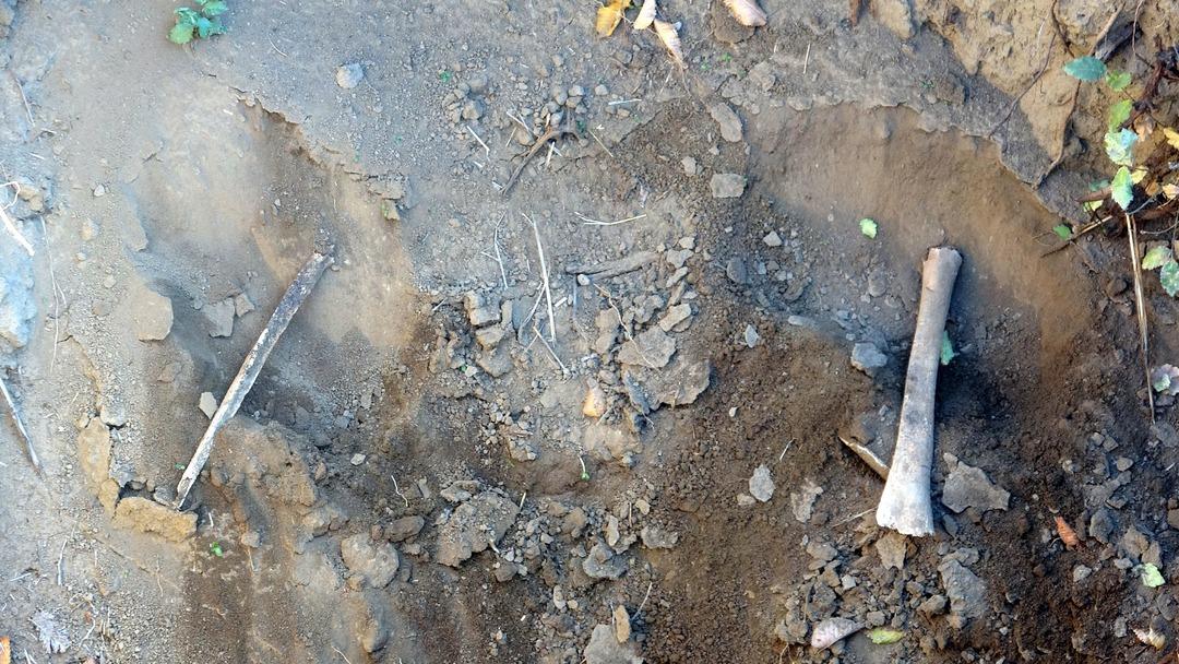 Defineciler talan etti! Altın bulmak i&ccedil;in 600 yıllık mezarı kazdılar: Kemik &ccedil;ıkardılar 3