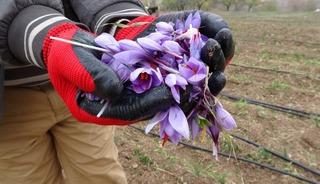 Yoğun taleplere yetişemiyorlar: Gramı 600 TL!