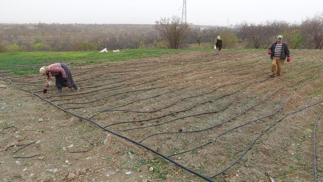 Yoğun taleplere yetişemiyorlar: Gramı 600 TL den satılıyor! 3