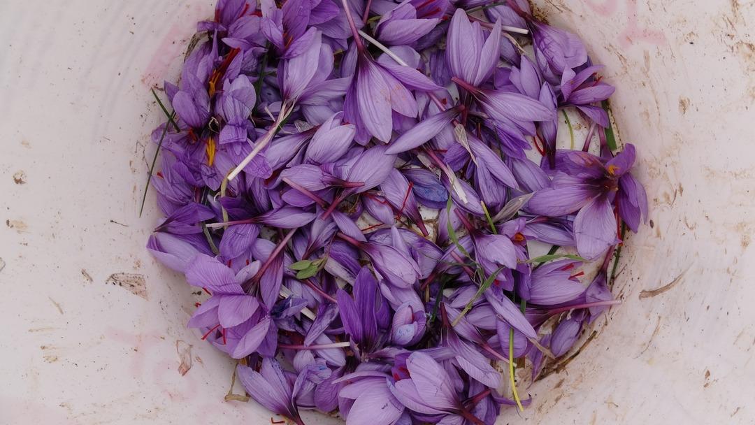 Yoğun taleplere yetişemiyorlar: Gramı 600 TL den satılıyor! 4