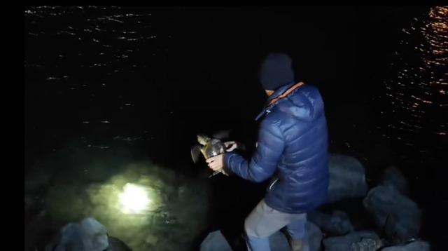 Misina ve ipe dolanan caretta carettanın yardımına vatandaşlar yetişti 1