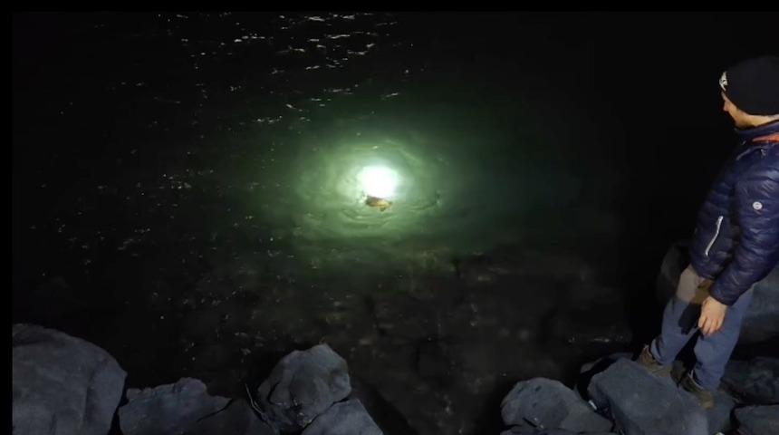 Misina ve ipe dolanan caretta carettanın yardımına vatandaşlar yetişti