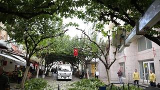 İncirliova Sevgi Yolu’ndaki ağaçlara bakım