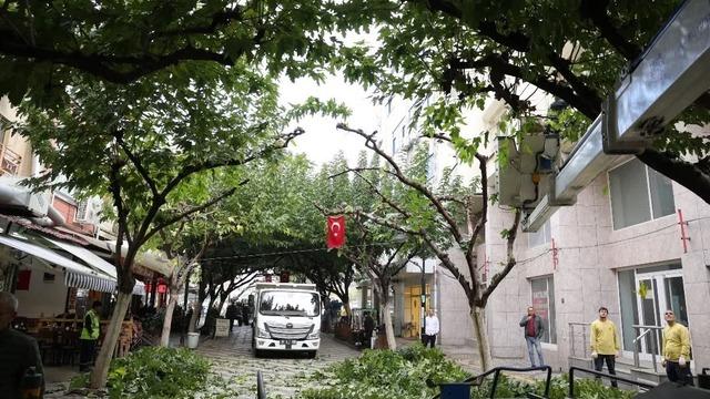 İncirliova Sevgi Yolu’ndaki ağaçlara bakım