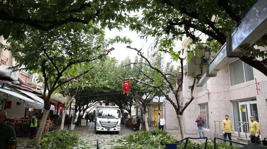 İncirliova Sevgi Yolu&rsquo;ndaki ağa&ccedil;lara bakım