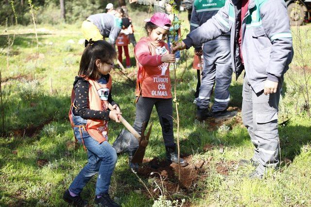 Öğrenciler 150 Sığla Fidanını Toprakla Buluşturdu