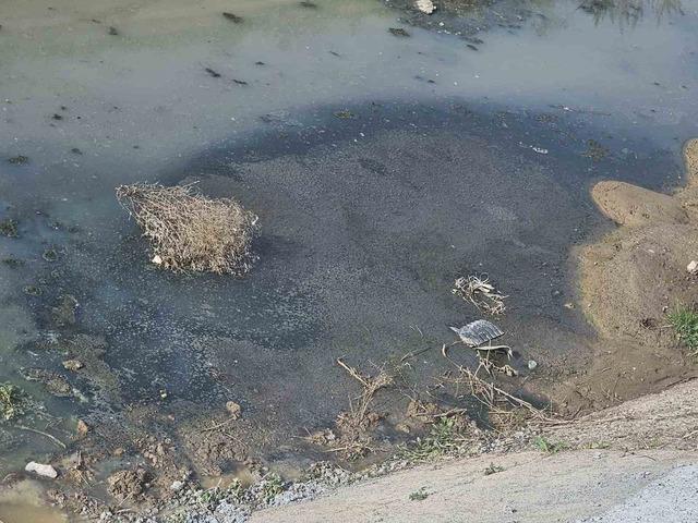 Çevreyi kirleten işletme hakkında yasal işlem başlatıldı 3